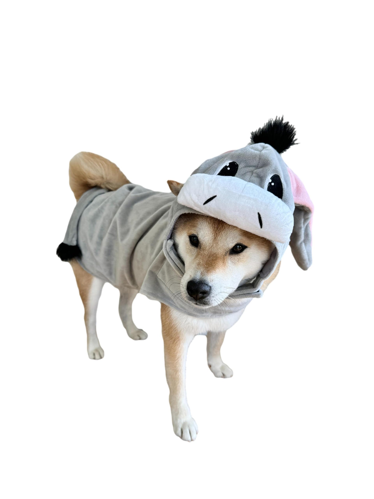 ComfyCamper Donkey Costume for Dogs - Small Medium Large XLarge XXL Cosplay Halloween Costumes Christmas XL
